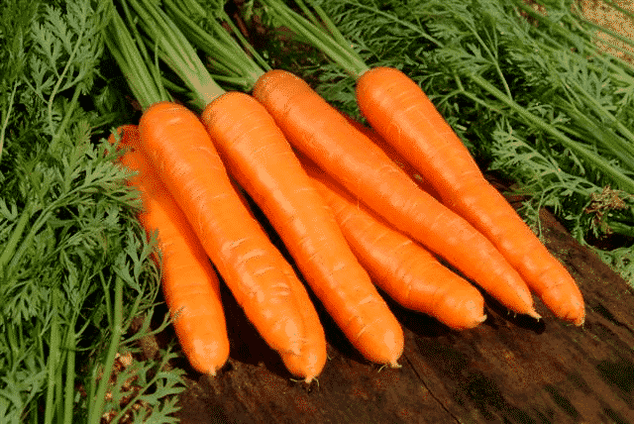As cenouras são um remédio popular popular para o tratamento da potência masculina. 