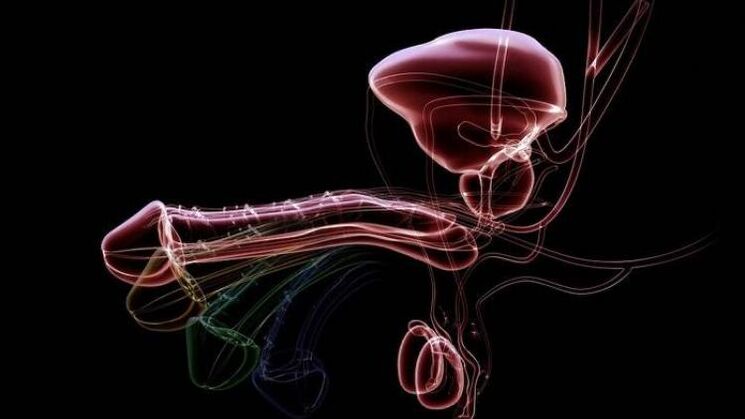 Por que aparece corrimento quando os homens estão excitados e isso é normal